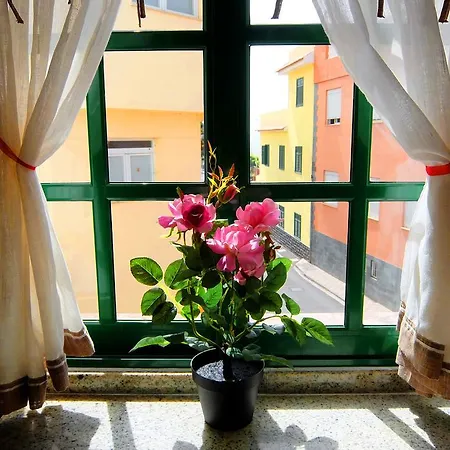 Apartment Large Terrace & Orotava Sunshine